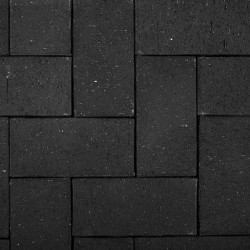 Svart marktegel Marktegel