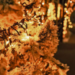 Cluster 5m Stycke belysning