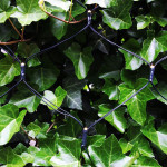 Net Stycke belysning